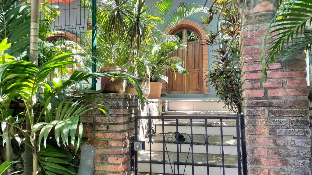 萨尤利塔Apartamento Parota #的一座房子前面的带植物的大门