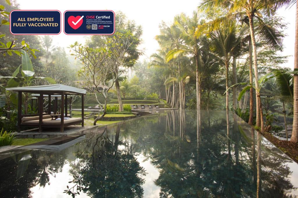乌布乌布桂香私人别墅及Spa的棕榈树公园内的游泳池