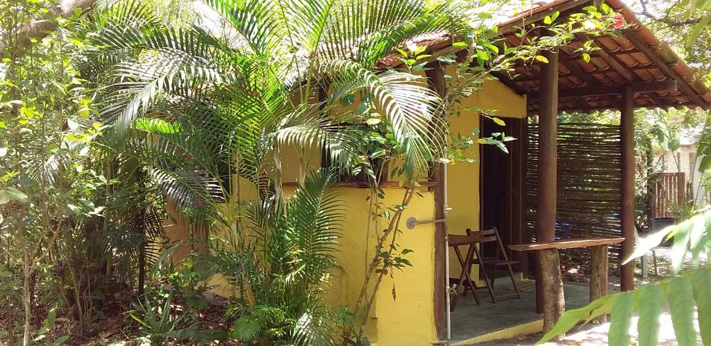 莫雷雷Pousada Aldeia de Morere的一座黄色房子,前面有一棵棕榈树