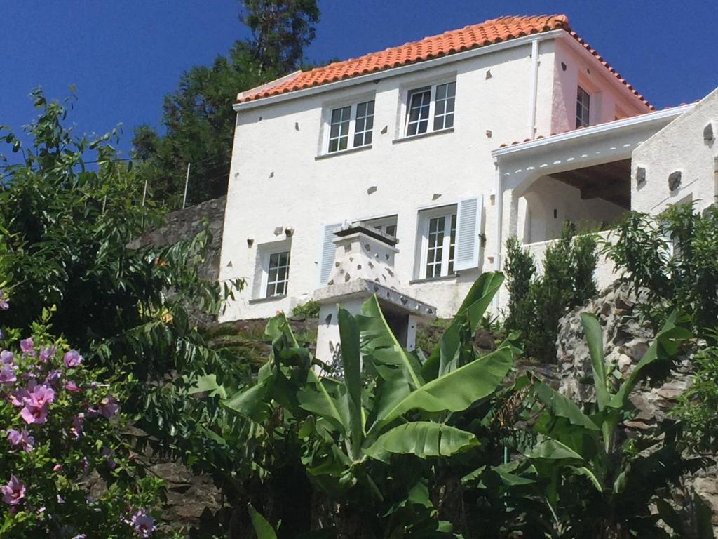 LombaVivenda Flores - Apartment Hibisco的一座种植了植物的山丘上的白色古宅