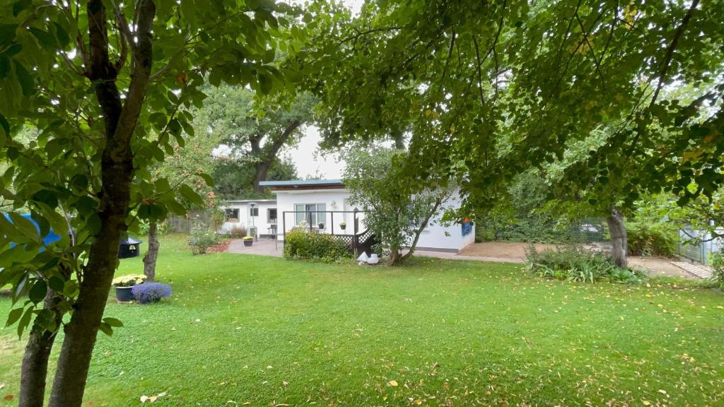 罗斯托克Bungalow im Erlengrund的一座带绿草和树木的庭院