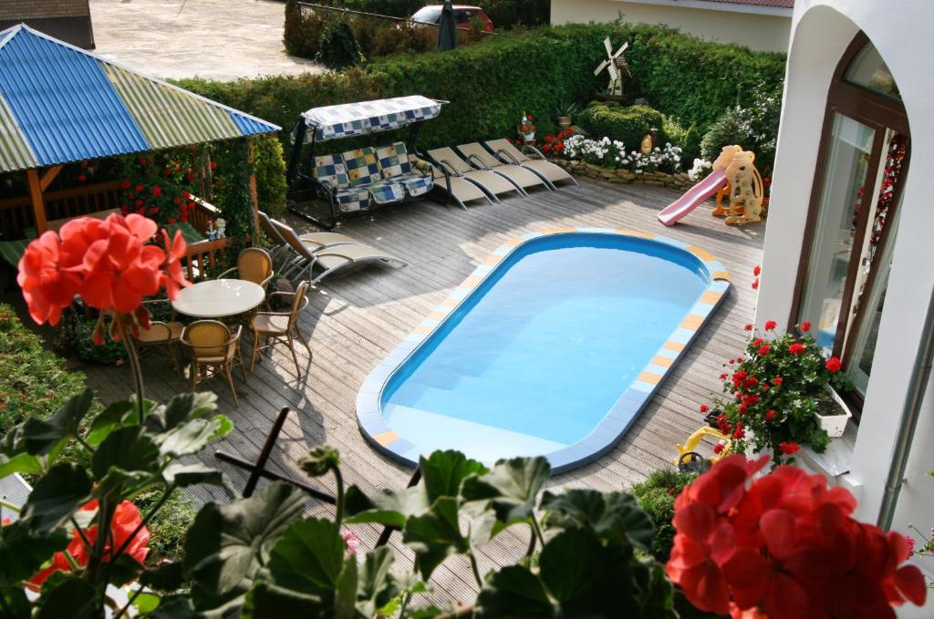 帕兰加Po Kastonu & SPA的一个带游泳池的后院模型
