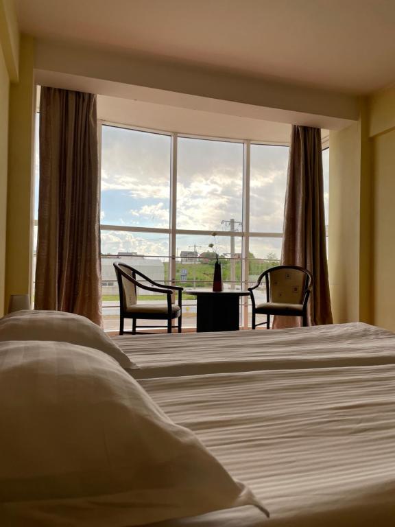 赛比什Hotel FAN Sebes的一间卧室设有一张床和一个大窗户