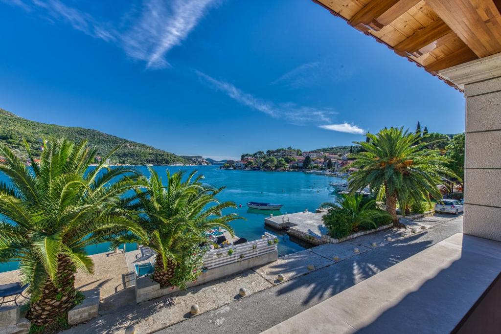 扎通Adria House Dubrovnik by the sea的棕榈树水景