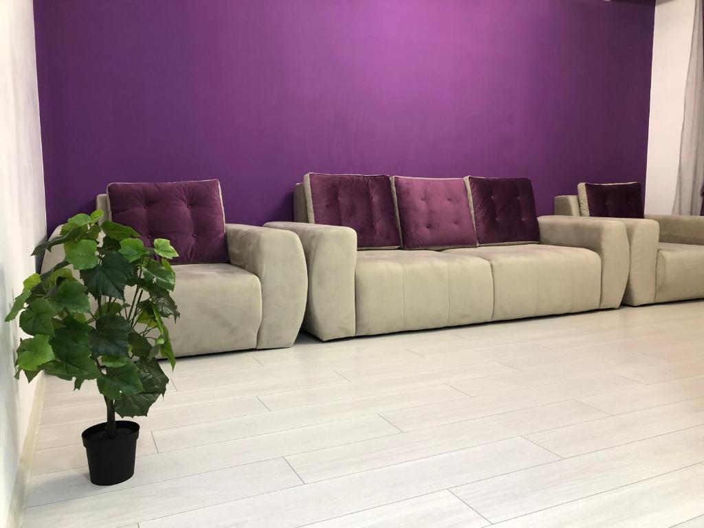 布加勒斯特Apartament - Drumul Taberei Parc Residence的带沙发和紫色墙壁的客厅