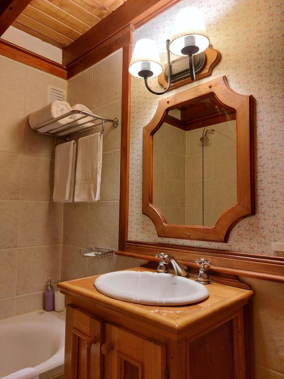 乌斯怀亚Ushuaia Lodge Las Margaritas 430的浴室配有盥洗盆、镜子和浴缸