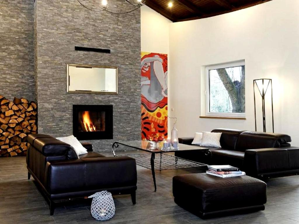 拉辛4元素法兰特奥罗德克会议与培训中心酒店的客厅配有皮革家具和壁炉
