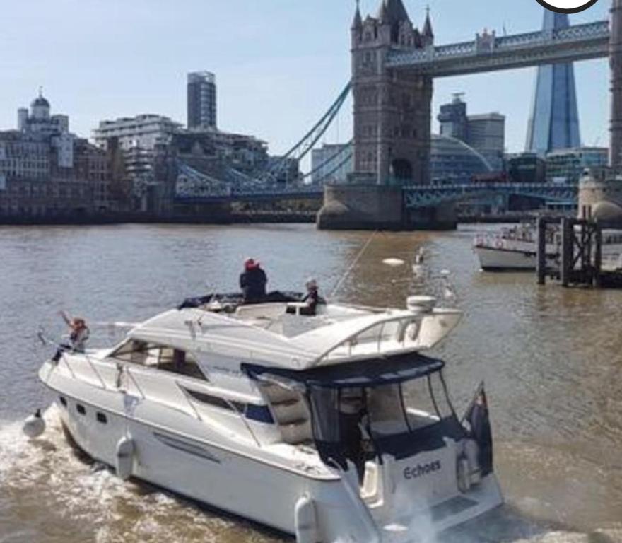 伦敦Yacht -Central London St Kats Dock Tower Bridge的桥前水面上的白船