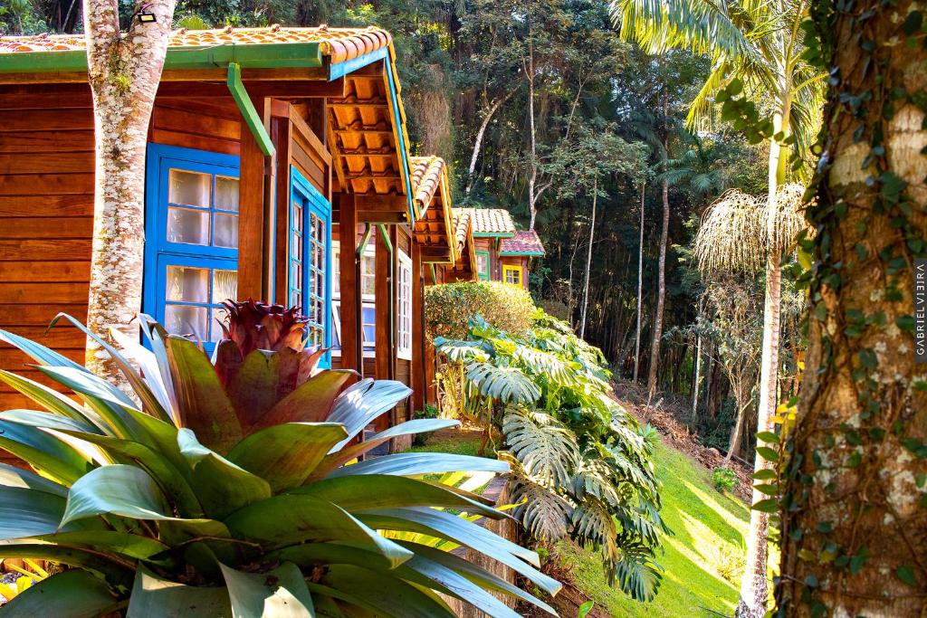 新弗里堡Chalés Paradiso的一间设有蓝色窗户和一些植物的木屋