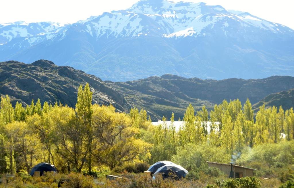 Lago San MartínEstancia La Josefina Lago San Martin的田野上帐篷享有雪覆盖的山脉美景