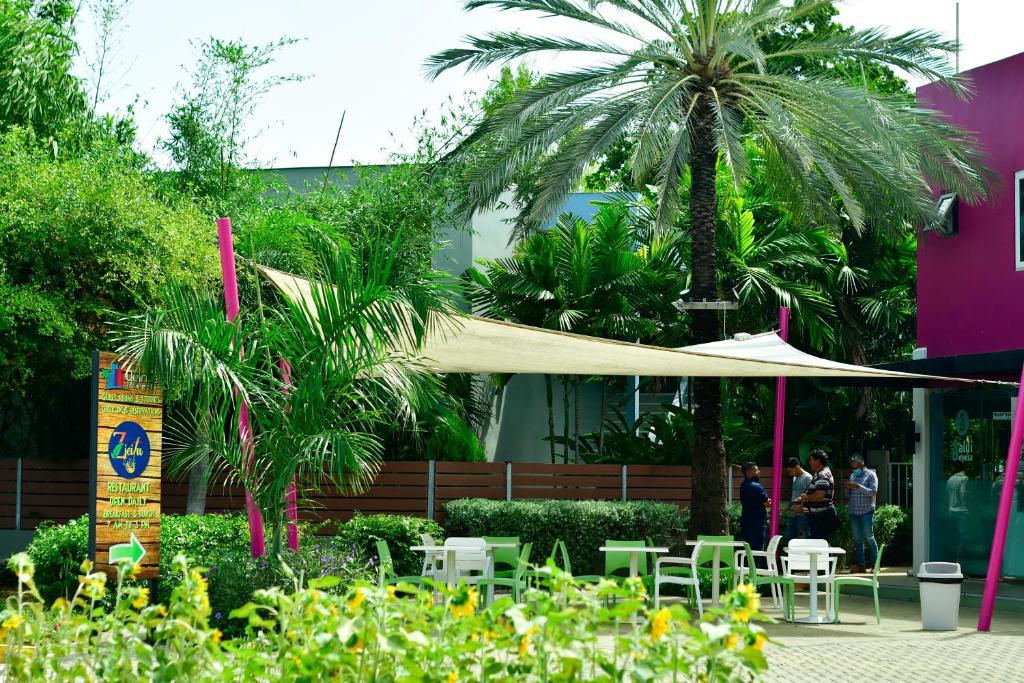 威廉斯塔德Quints Travelers Inn的一个带遮阳伞和椅子的庭院,并种植了棕榈树。
