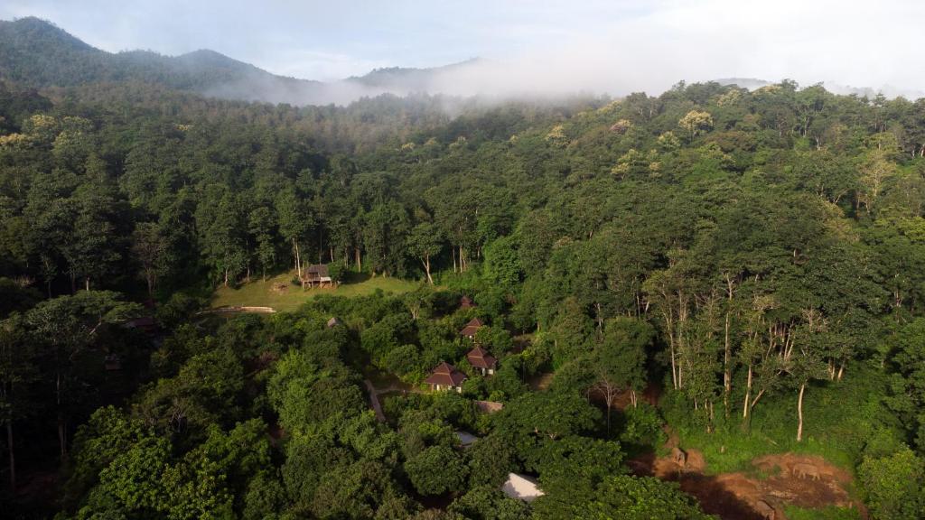 湄旺Tawan Riverside的享有郁郁葱葱的绿色森林的空中景致