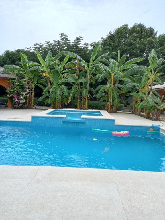 ToubakoutaB & B Mariamacounda的一座种植了棕榈树的蓝色游泳池