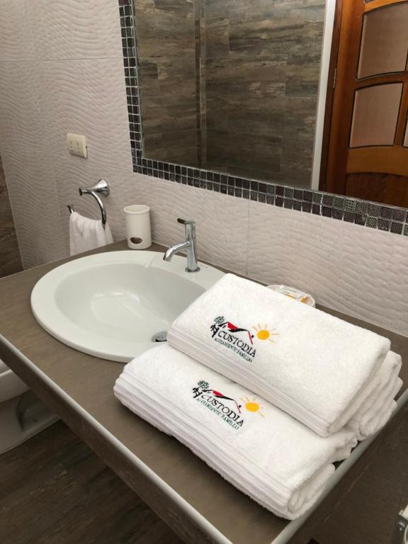 塔拉波托Alojamiento Familiar Custodia的浴室水槽和毛巾