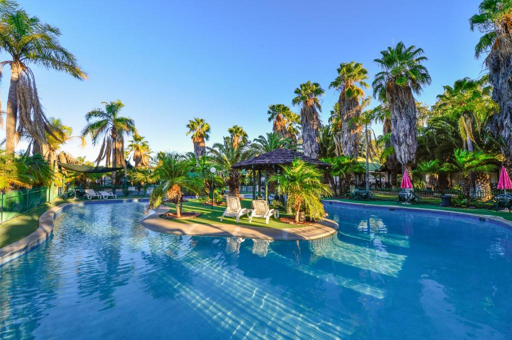 艾利斯斯普林斯沙漠棕榈艾丽斯斯普林斯汽车旅馆的度假村内一座种有棕榈树的大型游泳池
