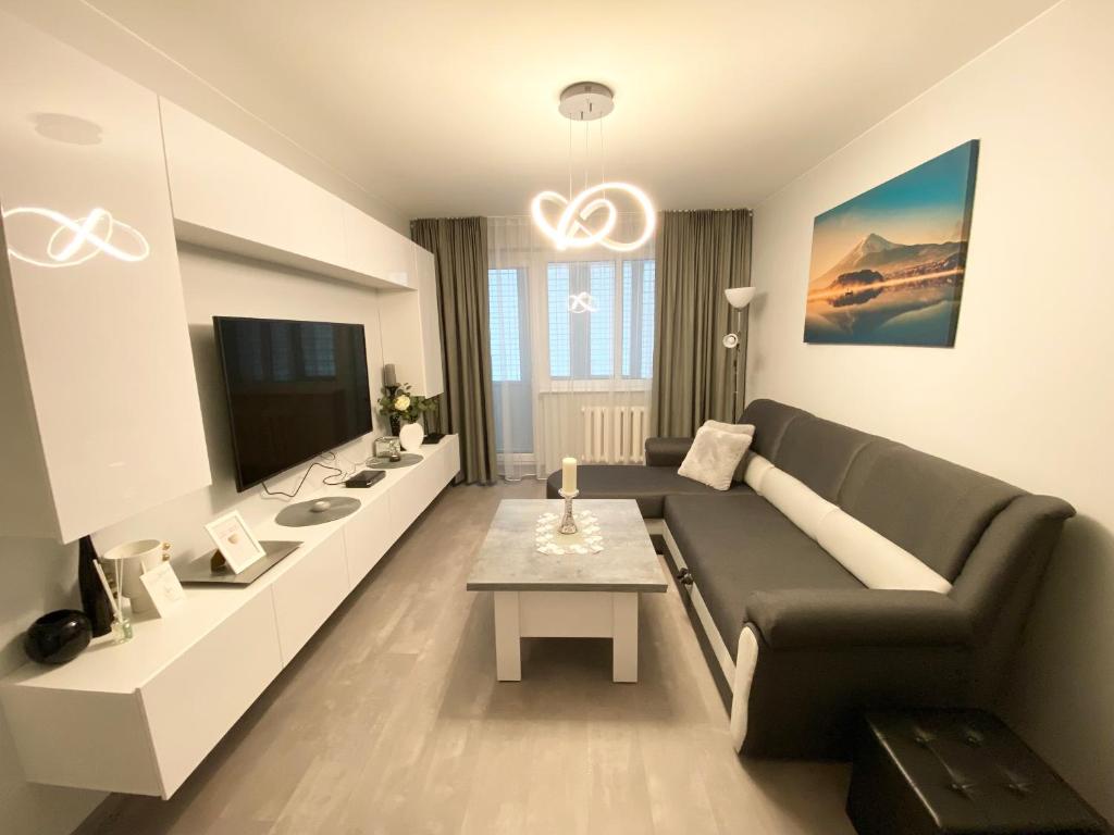帕内韦日斯Studio flat in Panevezys的客厅配有沙发和桌子