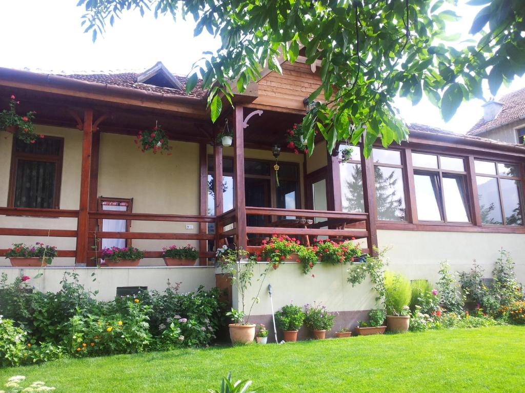 布拉索夫马吕斯之家民宿的前面有盆栽植物的房子