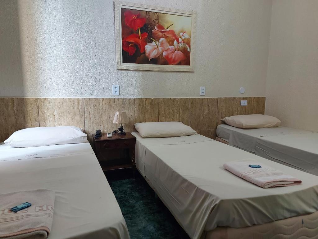 里约热内卢公园酒店的一间设有两张床的客房,墙上挂着一幅画