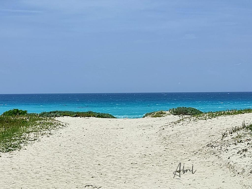 坎昆Tu Casa en el Caribe的海滩与大海相映成趣