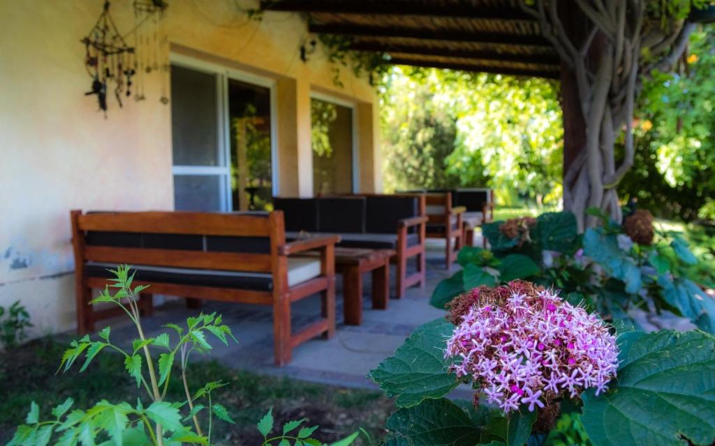 图努扬Finca del Rio - Casa de campo的一座建筑前方带长椅和鲜花的庭院