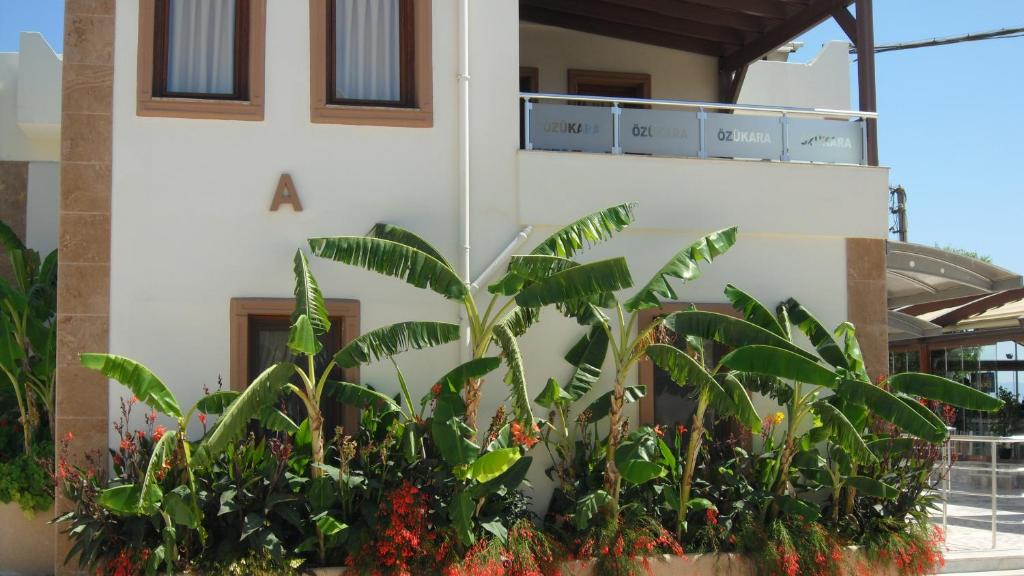 居姆贝特欧祖卡拉1号公寓式酒店的前面有植物的建筑