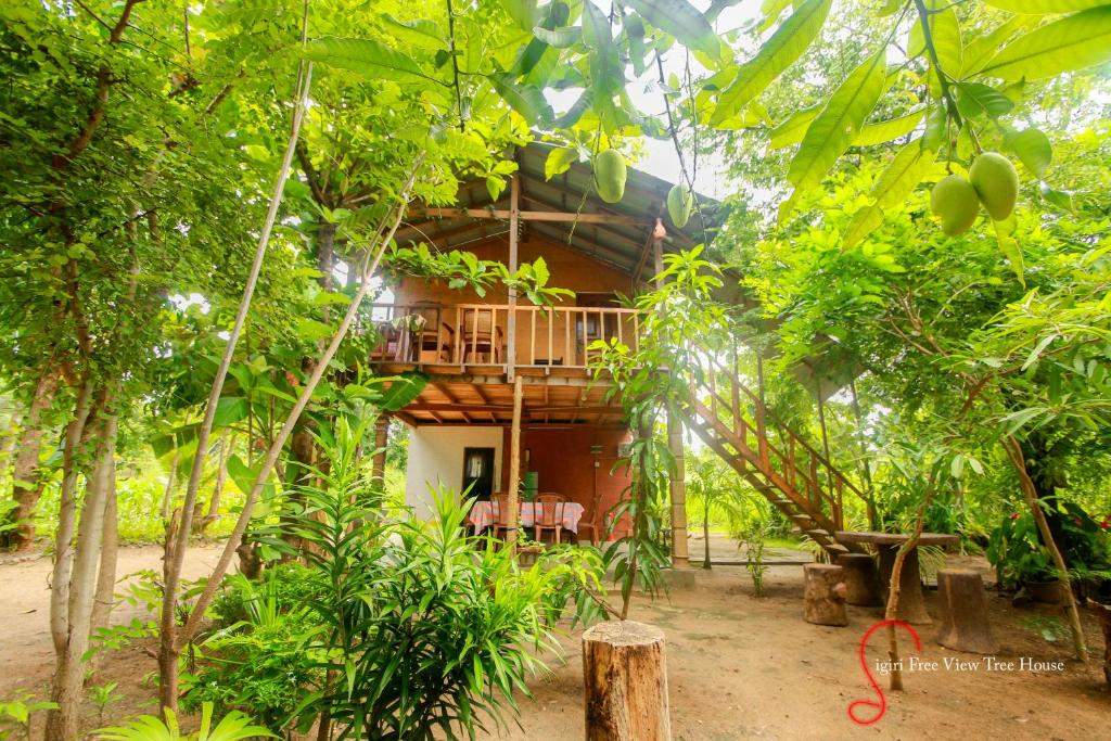 锡吉里亚Sigiriya Free View Tree House & Villa的森林中的房子