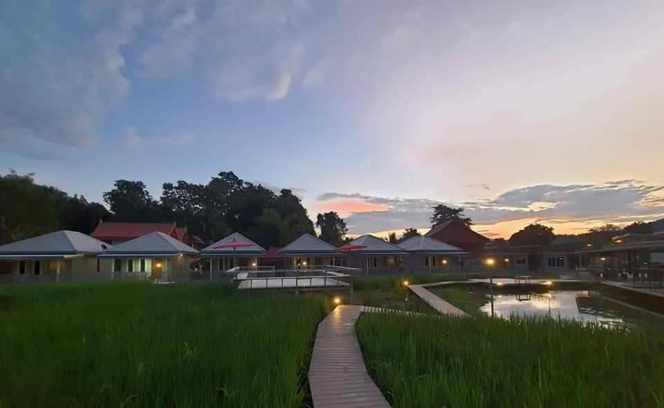 湄宏颂Jeerang Countryside Resort的享有带池塘和草地的度假村景色