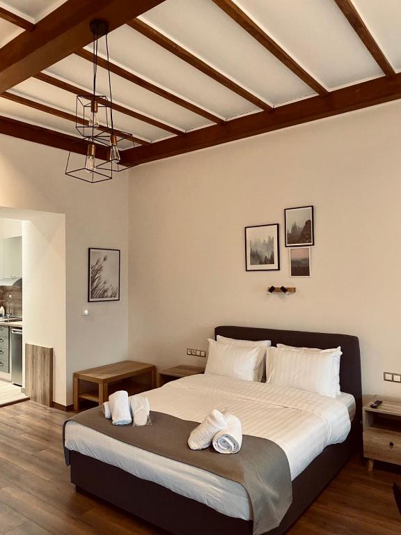美特索文11 Luxury Apartments Metsovo的一间卧室配有一张大床和两条毛巾