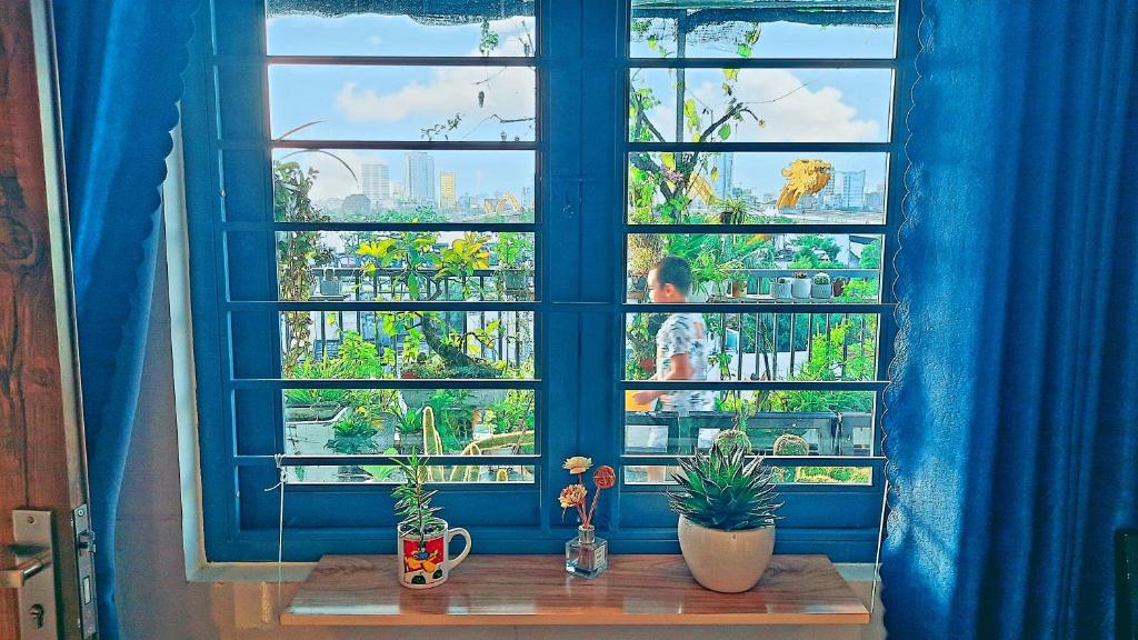 岘港Sena home 4th-Rooftop Overlooking Danang Dragon bridge的木桌上布满植物的蓝色窗户