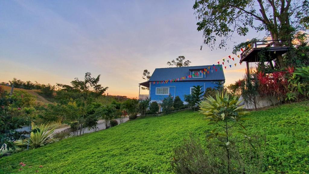 考科蒂普度假屋的绿色山顶上的蓝色房子