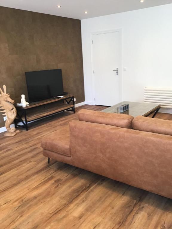 萨斯范亨特Chic appartement in Sas van Gent的带沙发和平面电视的客厅