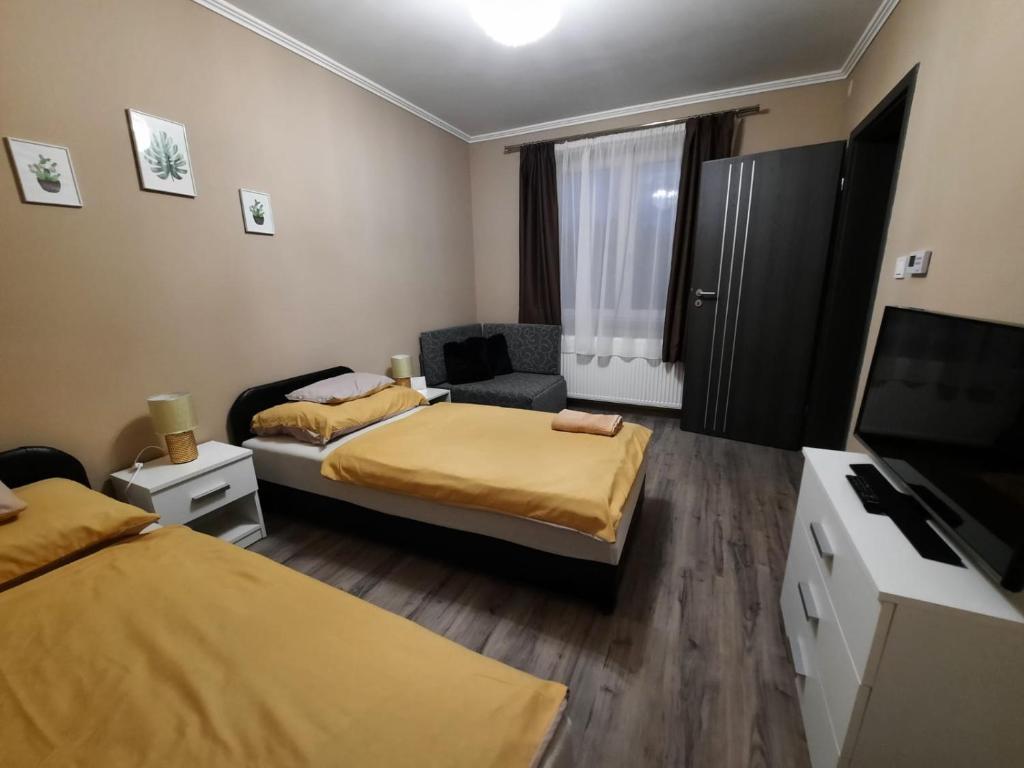 德布勒森Borostyán Panzió的小房间设有两张床和电视