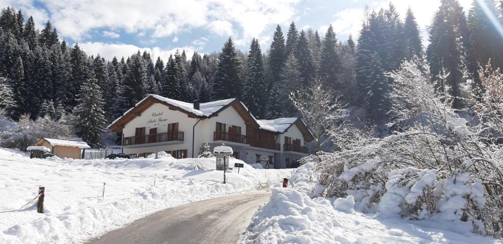 卡斯泰洛泰西诺Albergo Chalet Abete Rosso的路上的雪覆盖着房子