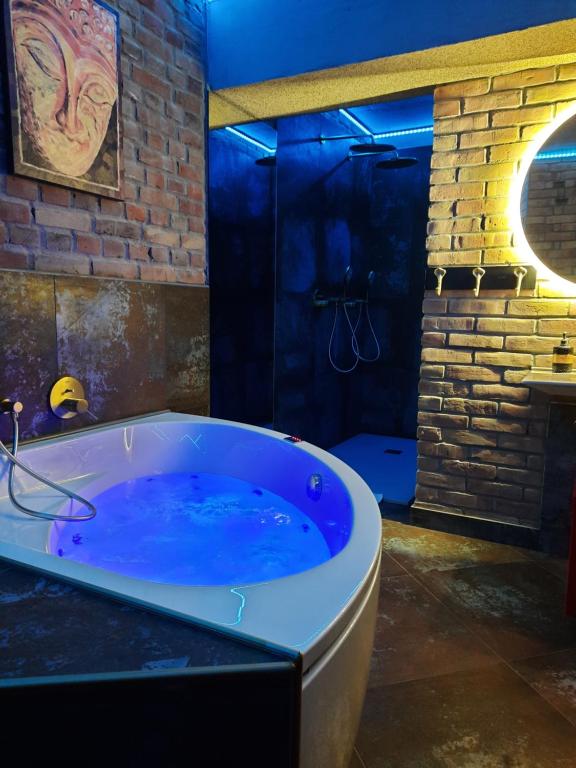 卢布林Hotel Agit Congress&Spa的大型浴室设有带淋浴的浴缸。