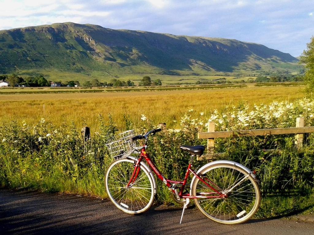 LennoxtownDingieshowe Cottage的停在田野围栏旁边的一辆红色自行车
