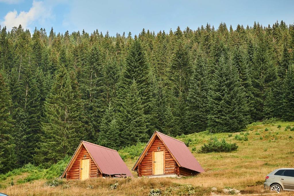 普拉夫Samel's Cottage Hrid's lake Prokletije的森林田野上的2间小木屋