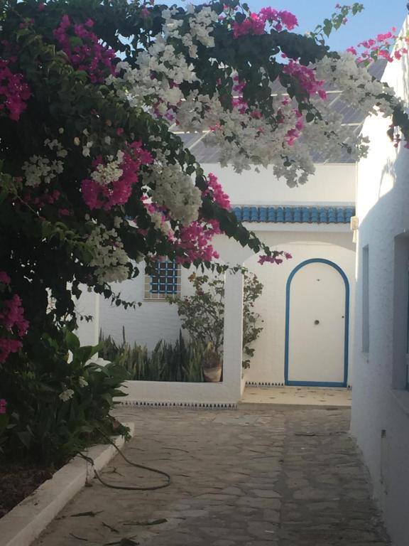 哈马马特BUNGALOW El HOUDA的白色的建筑,有蓝色的门和粉红色的花朵