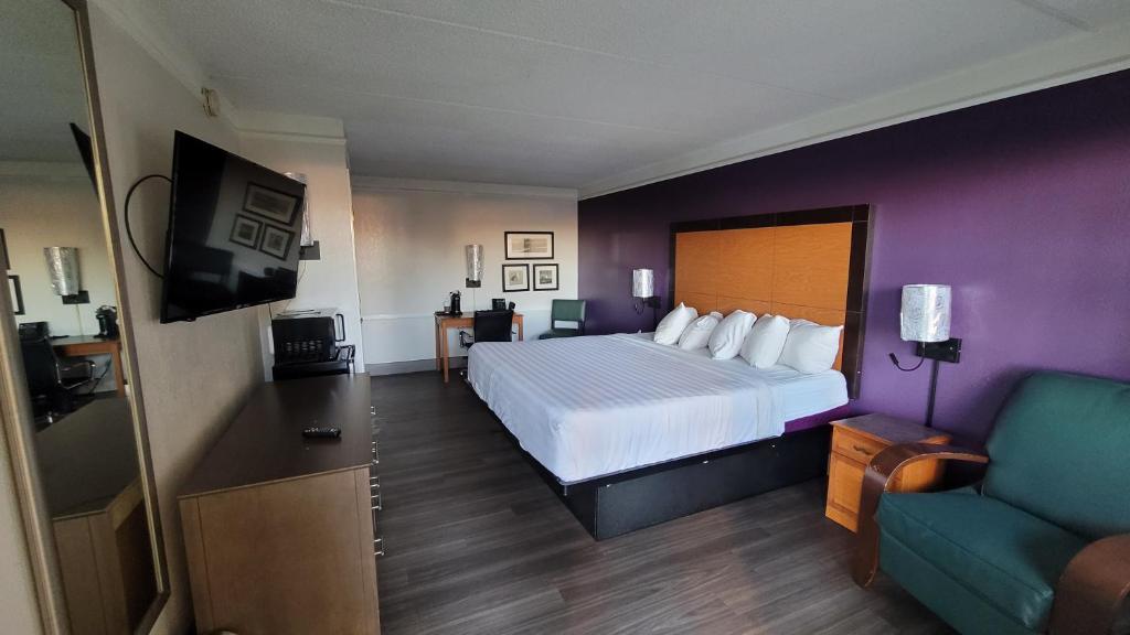 科珀斯克里斯蒂Hotel Palm Bliss Corpus Christi South的酒店客房,配有床和沙发