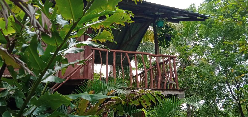 锡吉里亚Sigiri Panaromic Tree House的丛林中的树屋