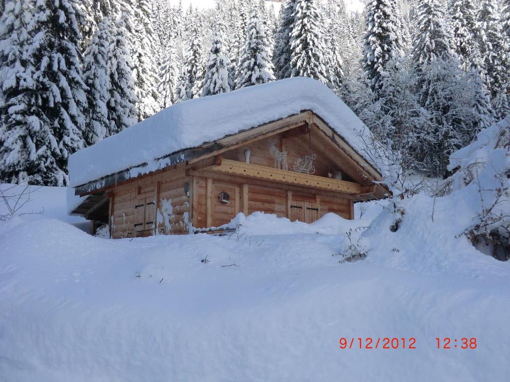 莫尔济讷Chalet Chardon的小木屋,屋顶上积雪