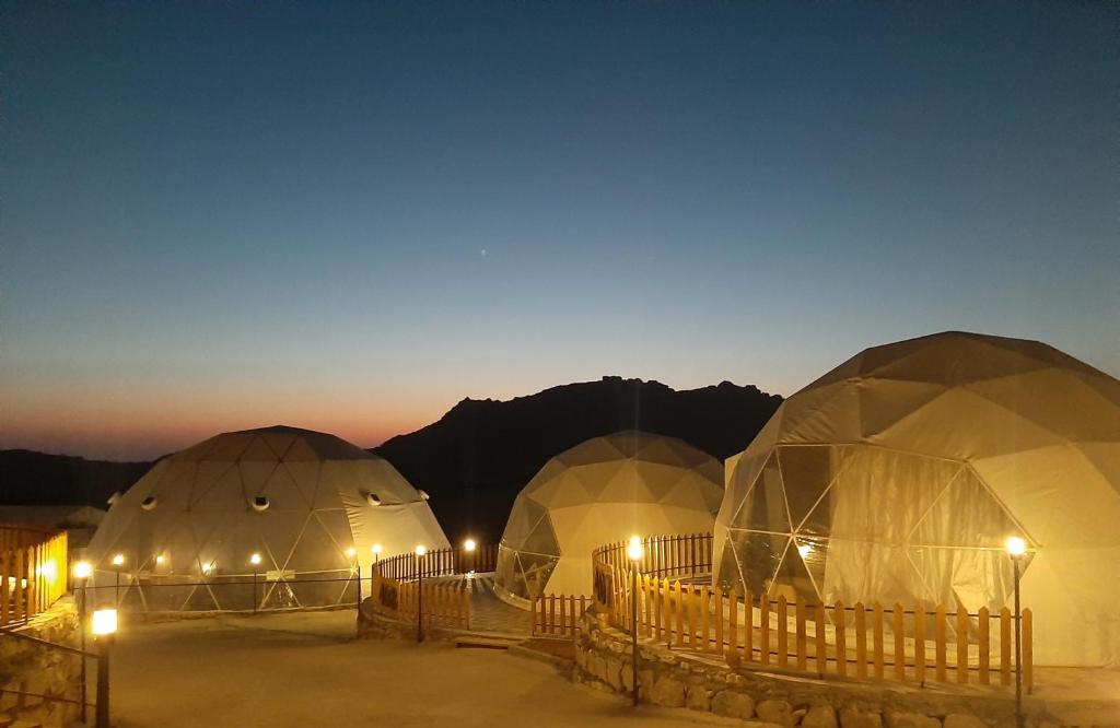 瓦迪穆萨The Rock Camp Petra的一群夜晚在沙漠中的圆顶