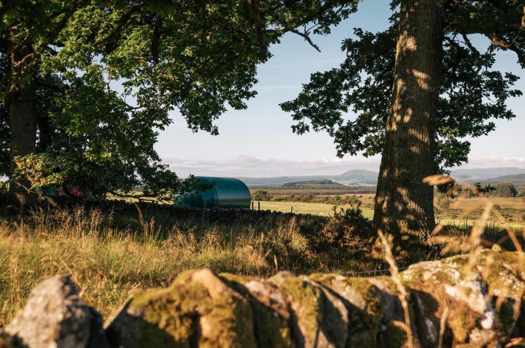 斯特灵Further Space at Cardross Estate Luxury Glamping Pods, Stirling, Scotland的树丛中谷仓