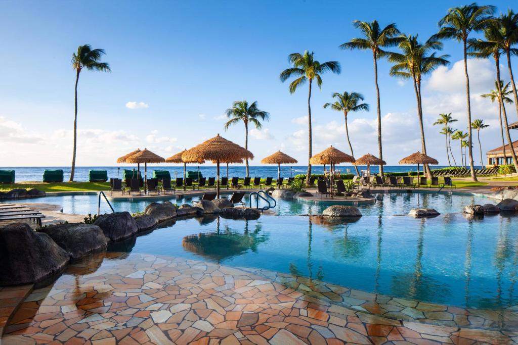 科洛阿考艾岛喜来登度假酒店的棕榈树和海洋的度假游泳池