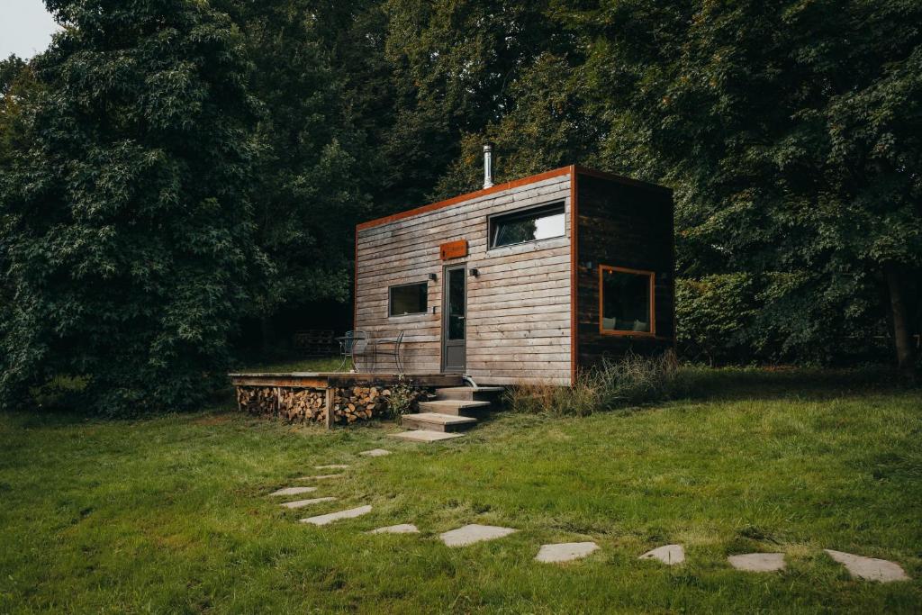 奥纲赖泽Tiny House Célestine By Ernesst的草场上的小木屋