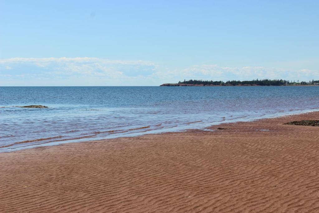 BedequeCottages On PEI-Oceanfront的海滩与大海相映成趣