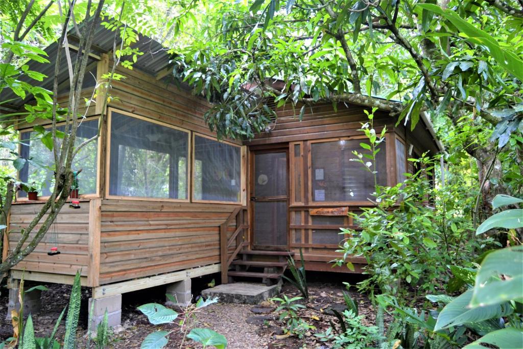 圣伊格纳西奥Iguana Roost Tourism Gold Standard Fully Equipped two Bedroom Cabin的树林中的木小屋