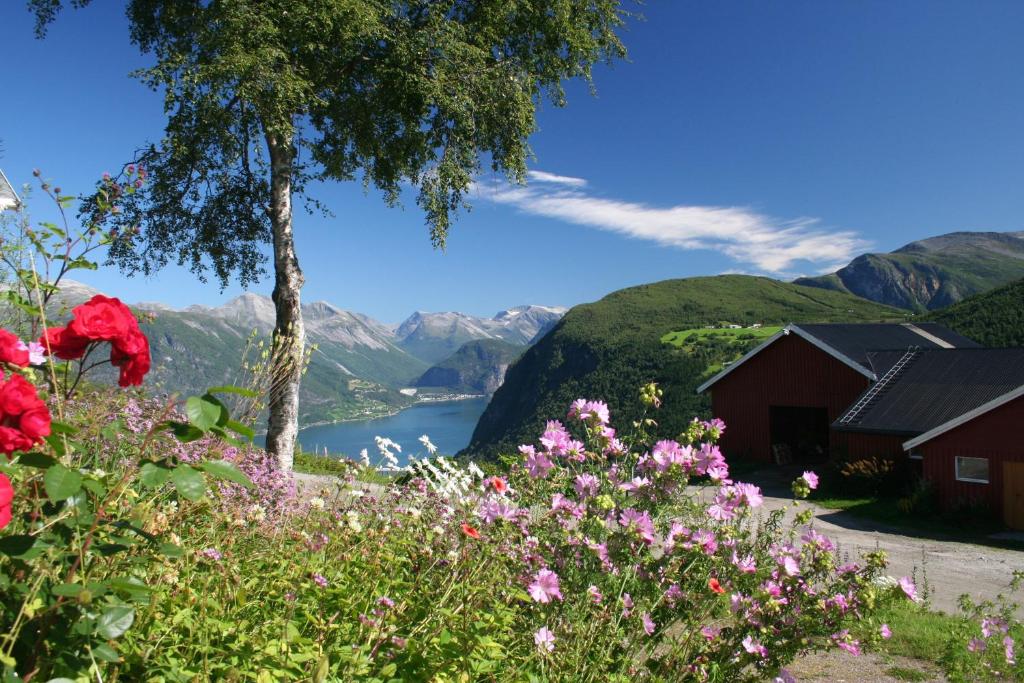 埃兹达尔海斯特豪格加尔酒店的享有湖泊和山脉的鲜花美景