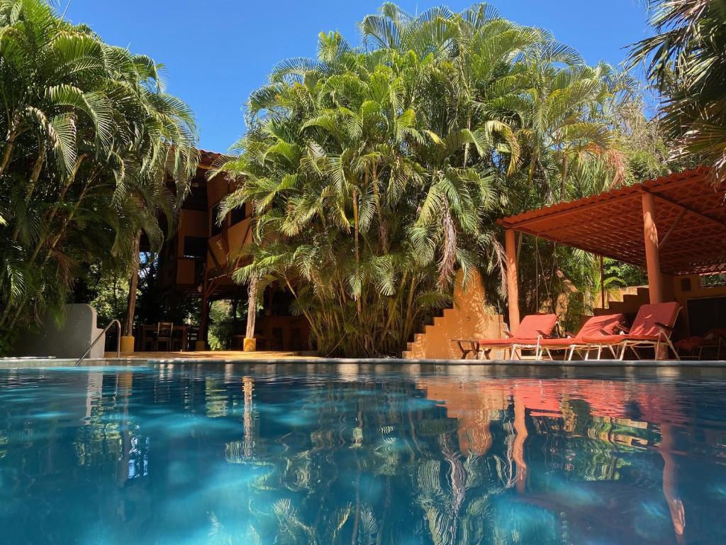 Paraíso蒙多米洛生态山林小屋的棕榈树度假村的游泳池
