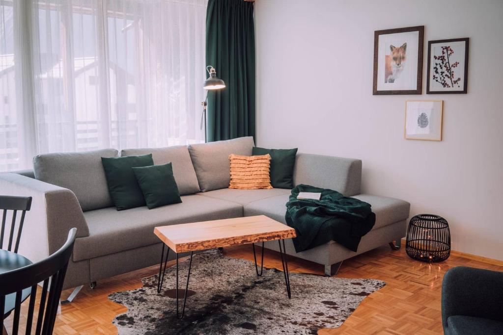 施勒肯Apartment Mohnenfluh的客厅配有沙发和桌子