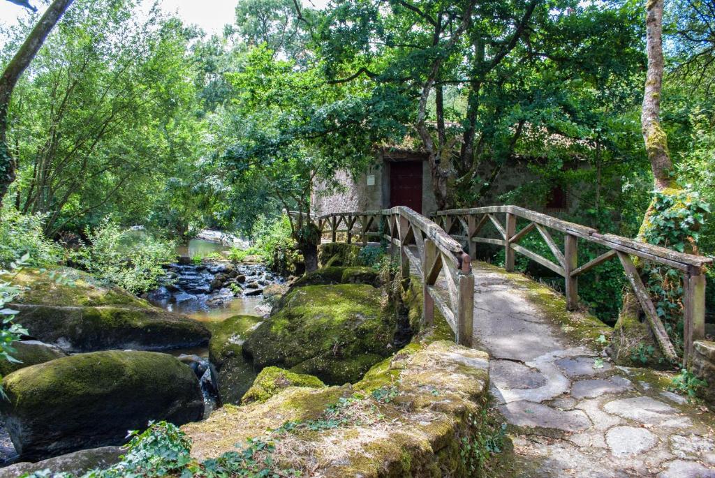 Gétigné鲁弗磨坊乡村假日公园的森林中一条小溪上的木桥